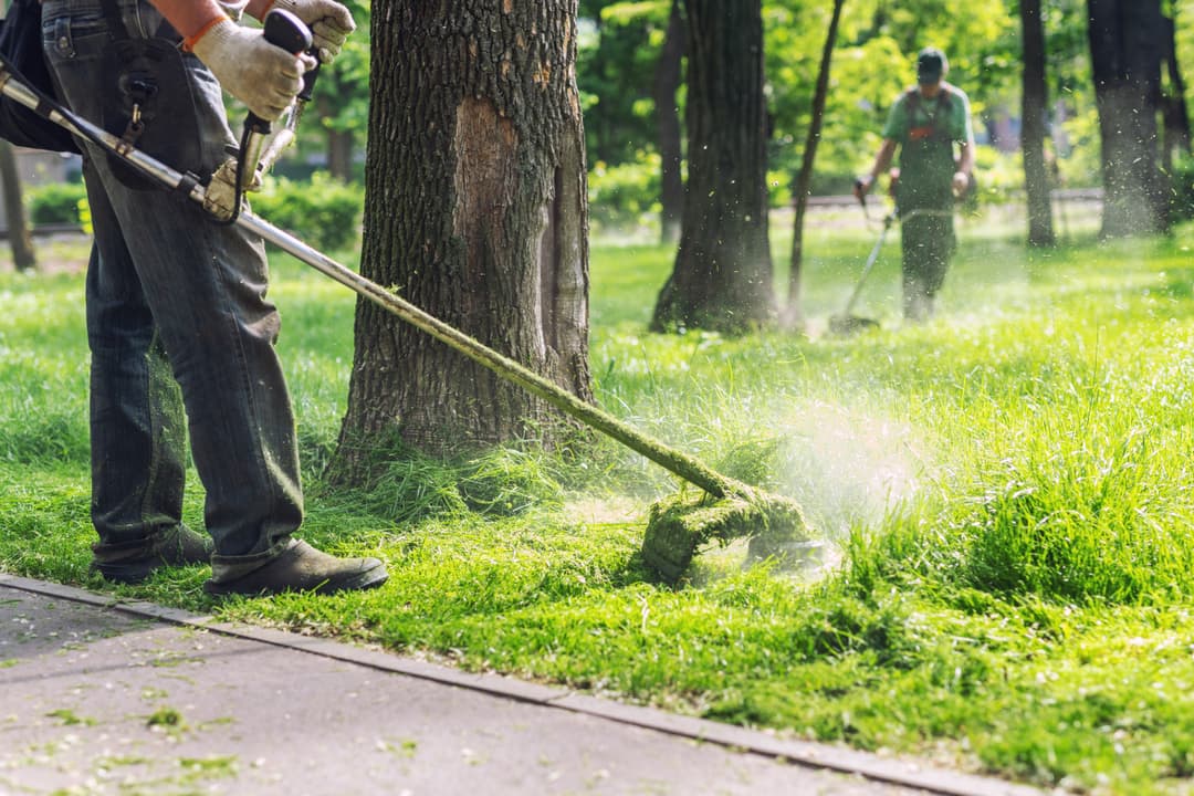 A picture of a man cutting the grass.